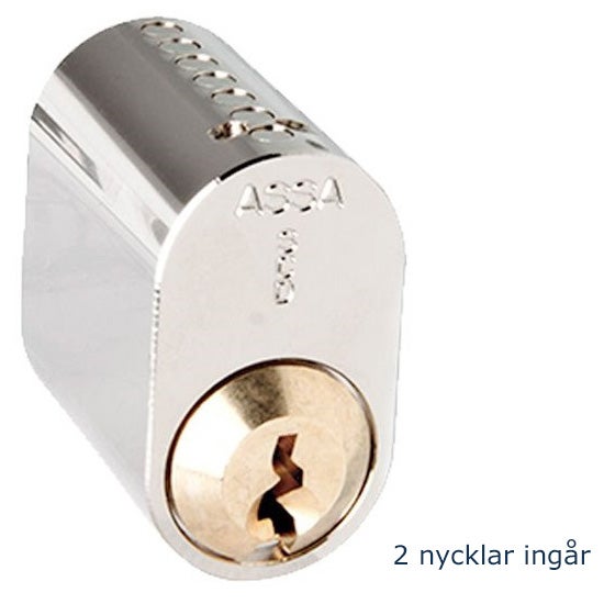 Assa cylinder 701 + Assa fallregellås 565